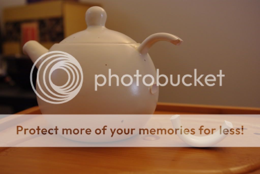 My Steeped IdentiTEA The First Casualty